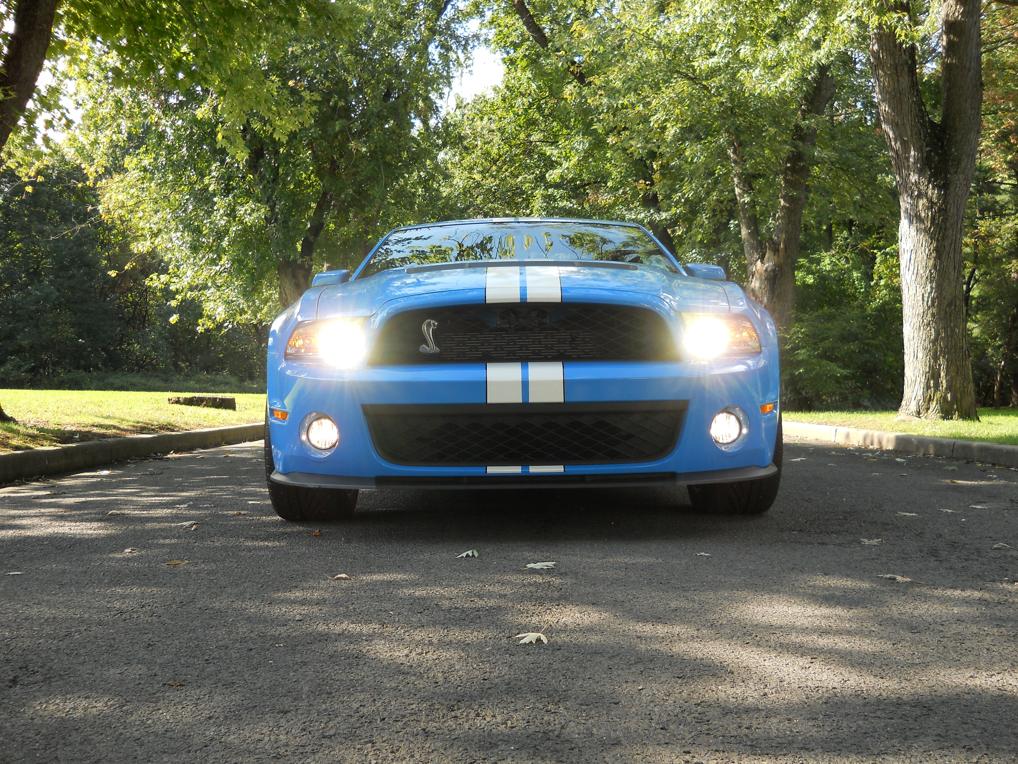 wellsbros/2012Shelbygt500.JPG